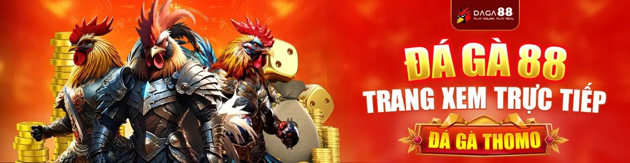 Hình ảnh chính về Điều Khoản Dịch Vụ của 2bongcom win