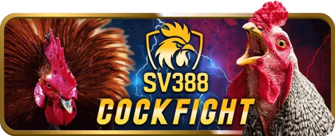 Đăng ký tài khoản 2bongcom win sau khi tải ứng dụng